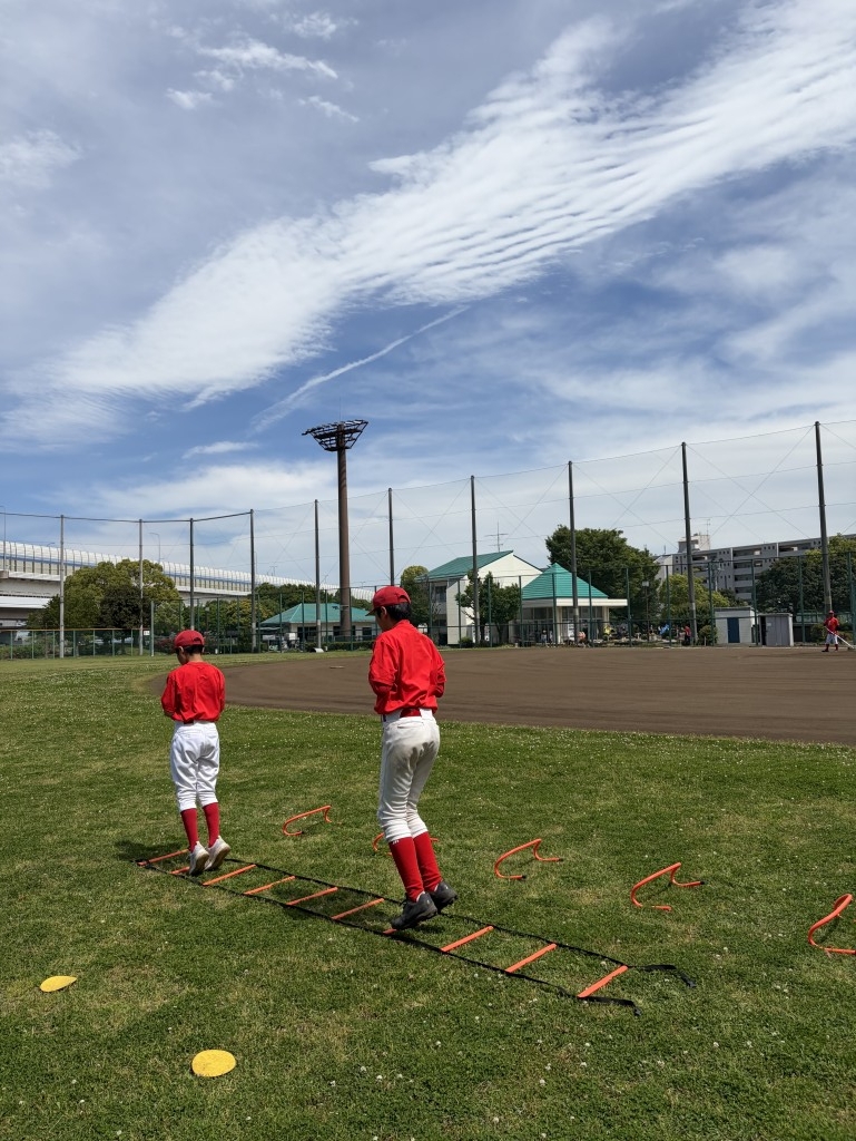 新杉田 公園 野球 場