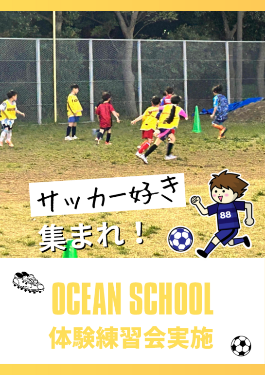 「小学校1年生〜3年生対象」体験練習会6月.pdf