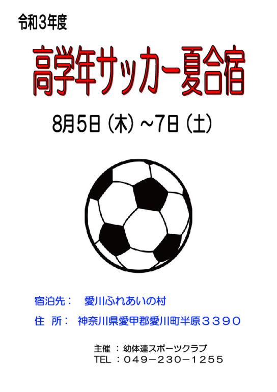 高学年合宿　パンフレット.pdf